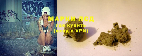кокс Гусев